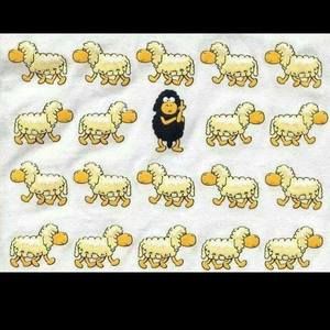 Meet your Posher, Douglas